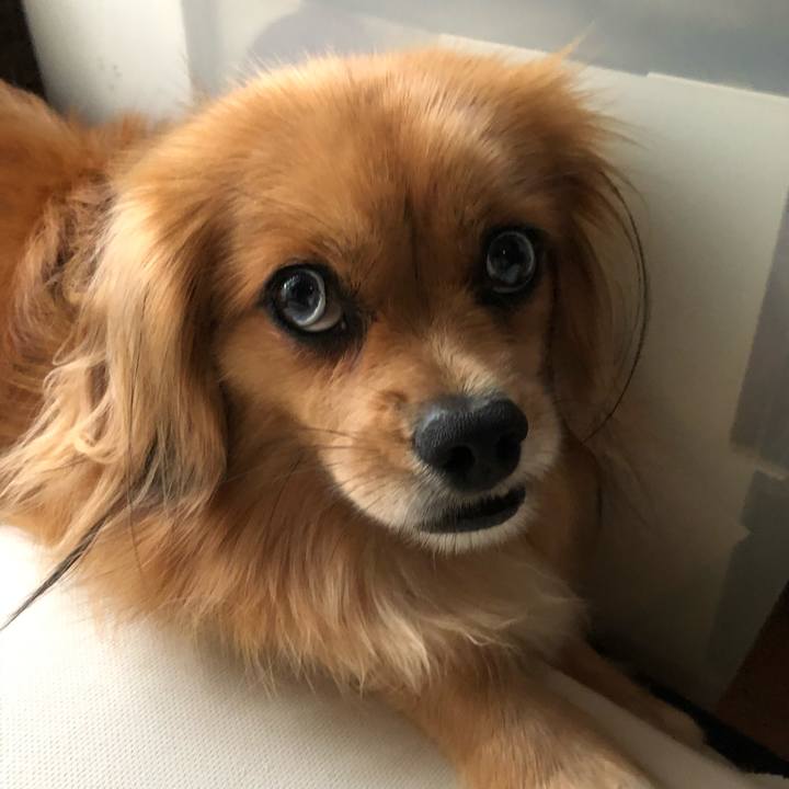 Bafc7856 bc4c 4097 8772 9d9e6a8b4c3d 1563744759351