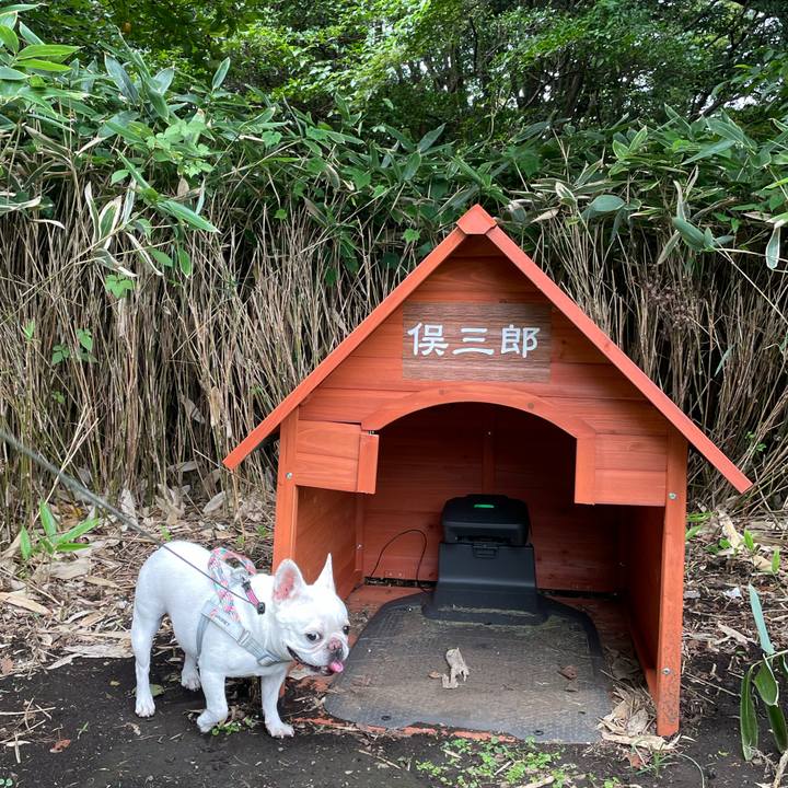 Bafc7b6f 1ad8 409a afda 5370354c8e93 1757718351046