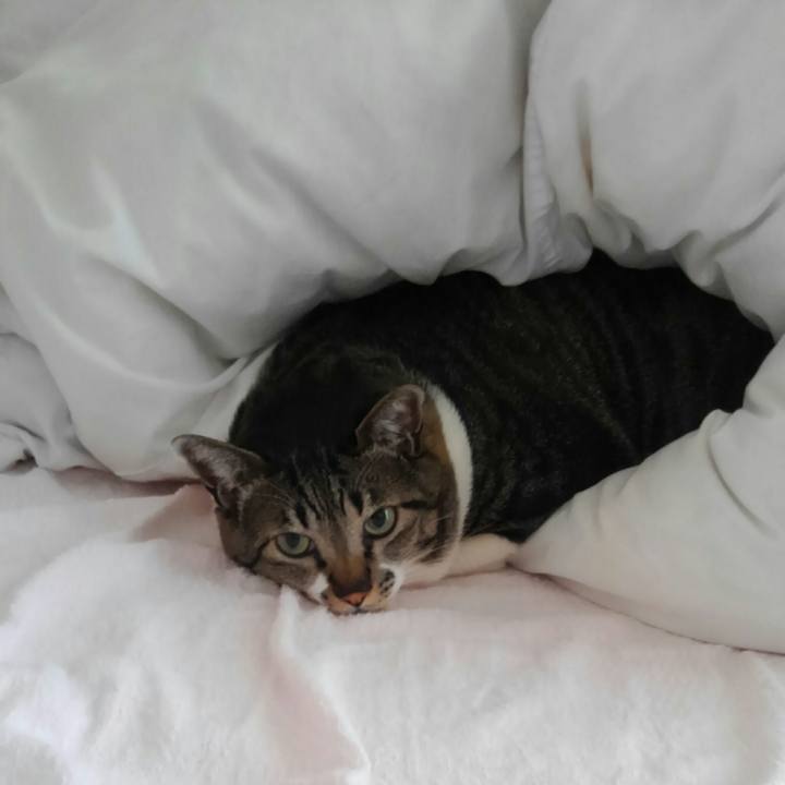 Bafd142e fd99 4508 8cfa 9d4e40dd6462 1519339141581