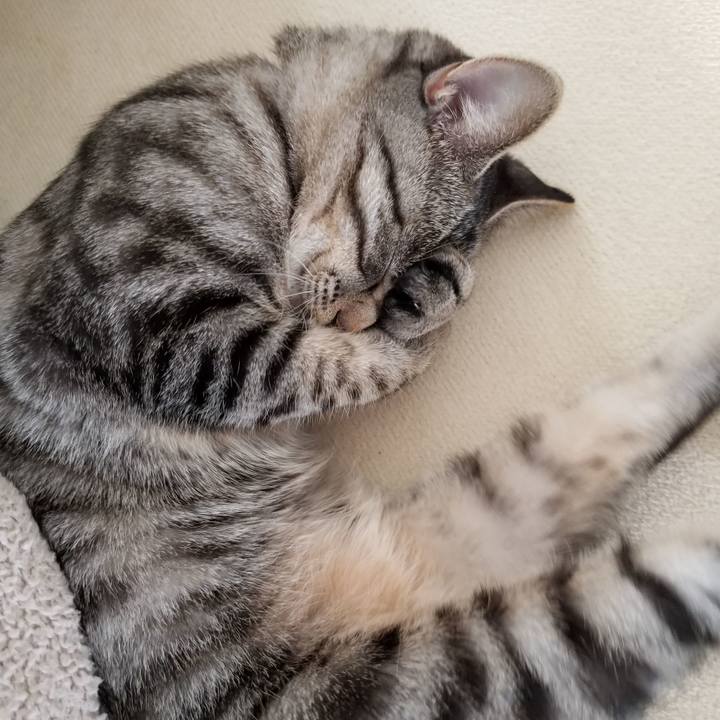 Bafd3af8 e54e 4bf7 8810 12fefa818617 1673620323293