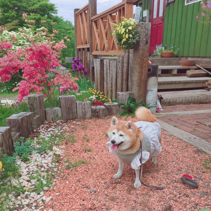 Bafd7481 8921 4c5d 9d76 e632a27a5d64 1559045481984