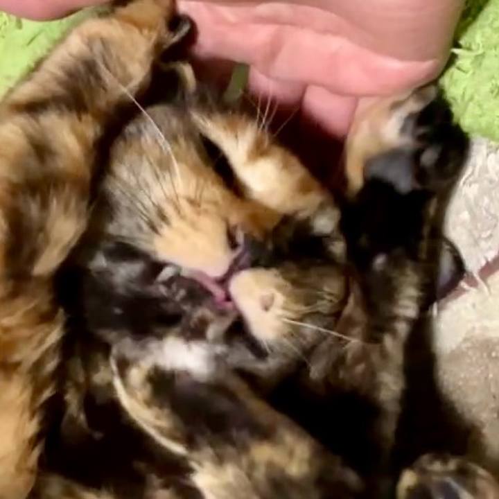 Bafd79e8 2792 49c6 90d1 2ea4699b353d 1740514968977