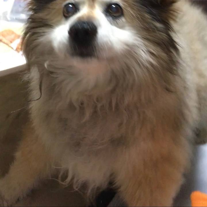 Bafd82b7 949c 4a40 af13 f1194e2d7cbe 1593309671913