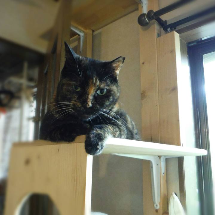 Bafd8afa 030c 4d76 a735 ed4b83c6a30e 1562982195217