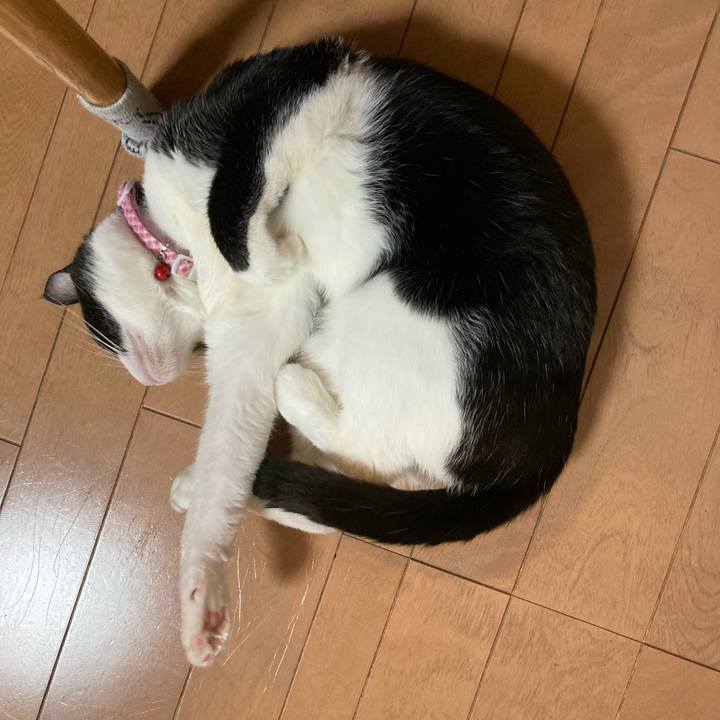 Bafda98d 3c4a 4880 9e3f 6caf5fefeab9 1612699523868