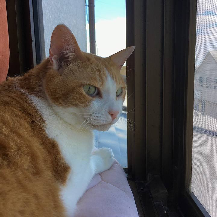 Bafdbfb6 b152 49b6 95e8 8ef5dfa71ed4 1622181320612