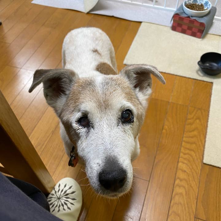 Bafdde83 019c 4d64 ba85 13e753d2c23c 1710367867550