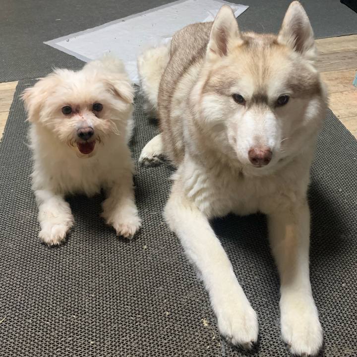 Bafe027e 20f7 43a6 b473 fddb573b2f3c 1686369955944