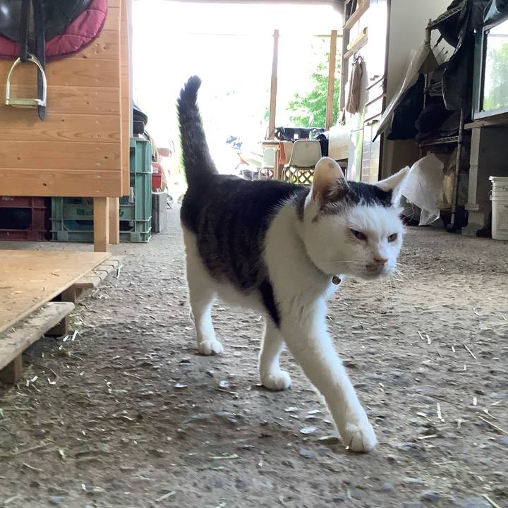 Bafe29e0 db2c 4aa8 837a 0869b85a0c79 1625980660319