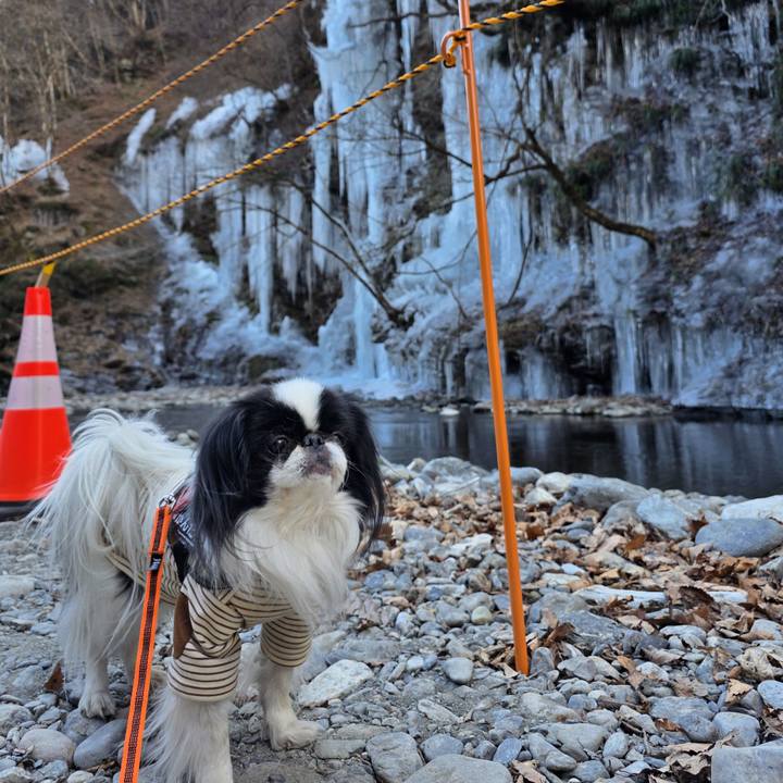 Bafe5e54 25c1 4b72 bdd7 03284b5ae418 1769761276790