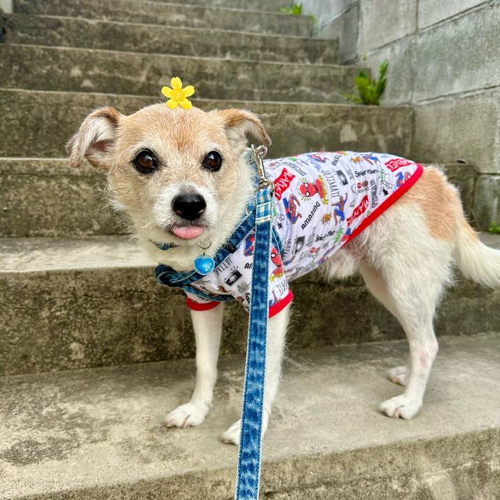 Bafe6da8 661d 4bd3 befa 6273d18050e1 1713168929515