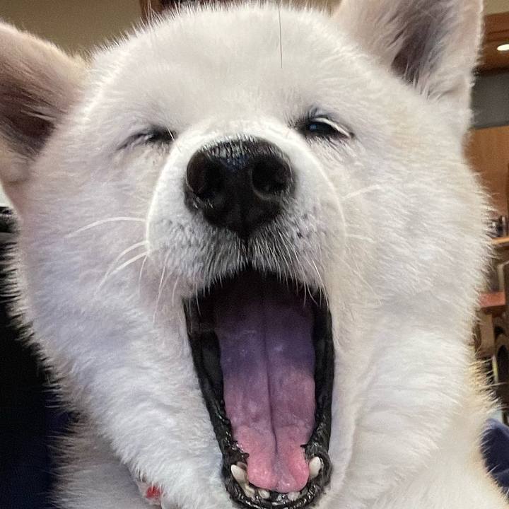 Bafe70d8 b322 497f af68 22431a5c6404 1715257080565