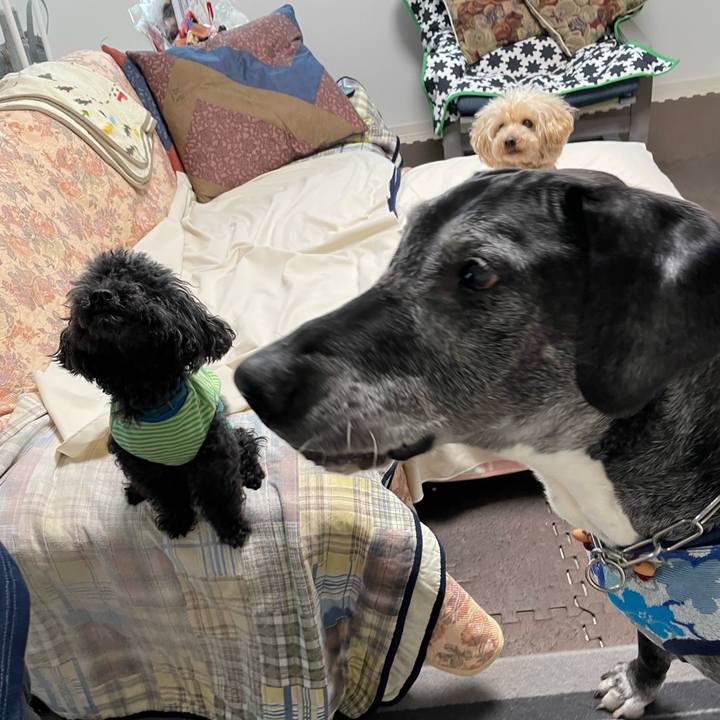 Bafe73a4 c4ba 4998 ba27 f055937e6c12 1650321923857