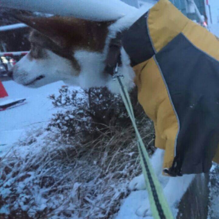 Bafe8abb 7427 410e a15f e8bc3cca9284 1515300897657