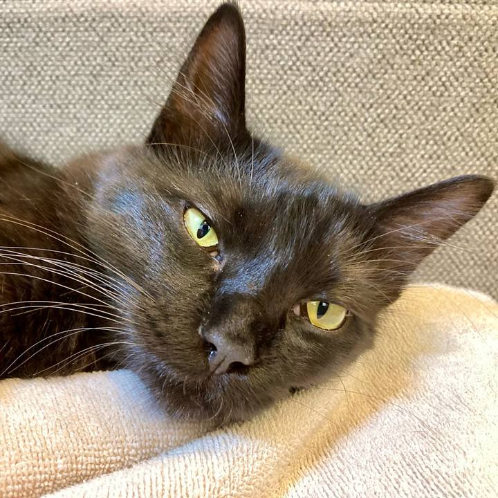 Bafeb783 6182 4f1a 9d95 72db3e22a193 1723857468121