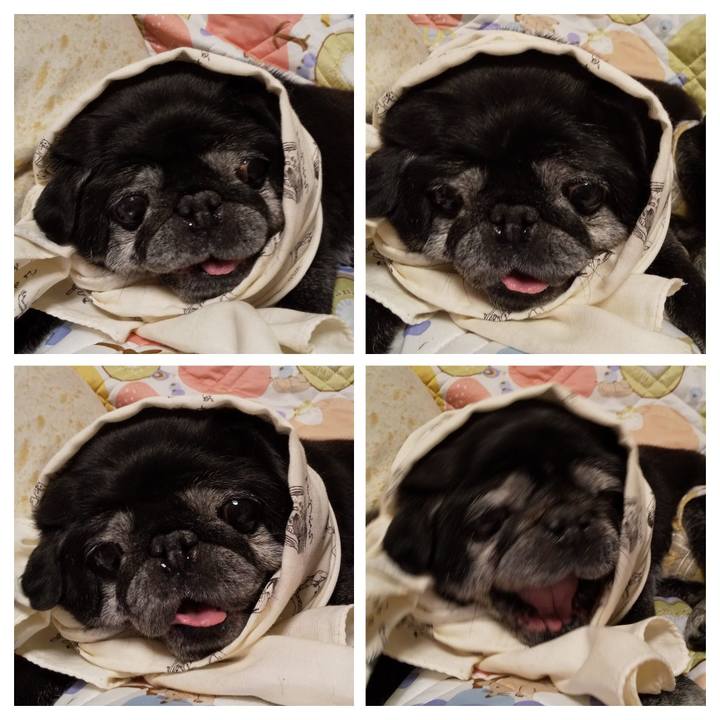 Bafefb15 b367 46f3 86e8 d802f9e6b85a 1565593895688