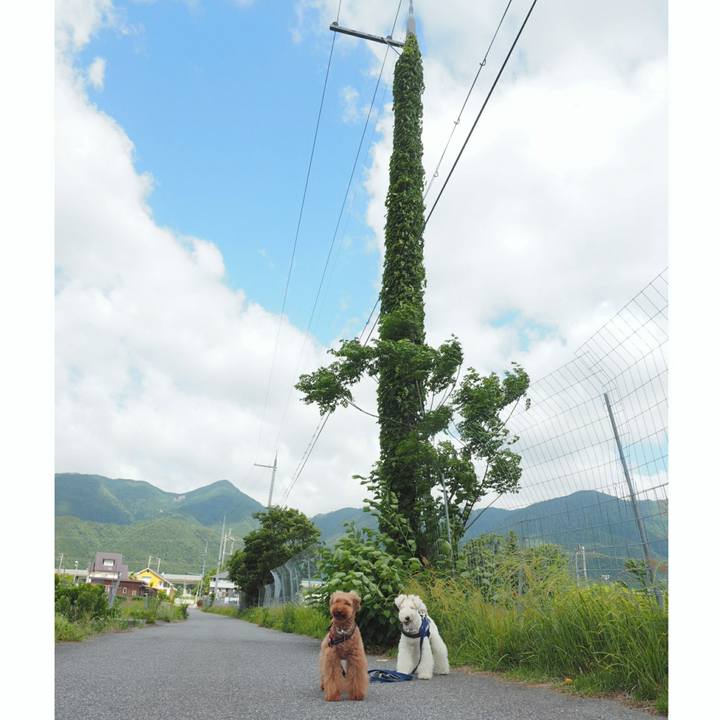 Baff3b6d 29f1 497e 8424 3602b1d55716 1527852484522