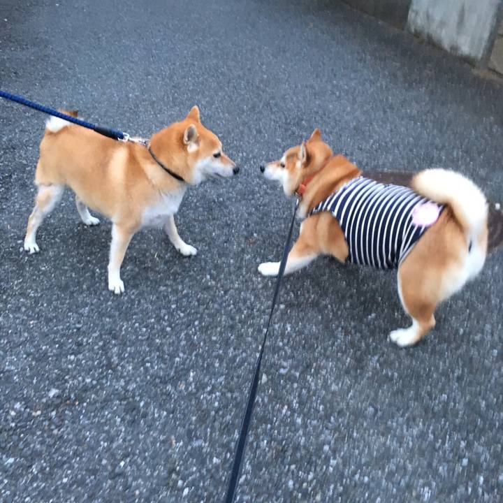 Baff4b4d fdcc 4de5 874f e384e97c1b79 1540025385339