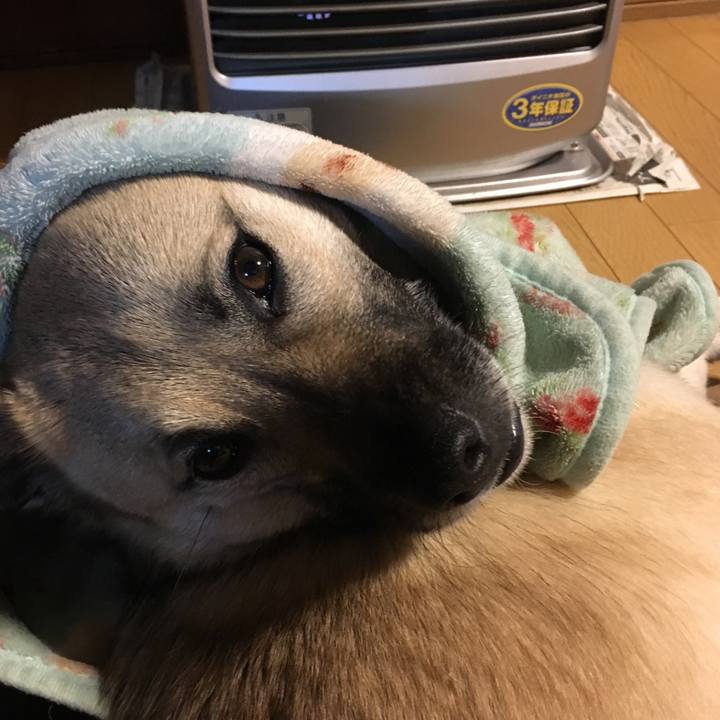 Baff5909 27b9 4f66 8ded 43e91ec25dd2 1517227455791