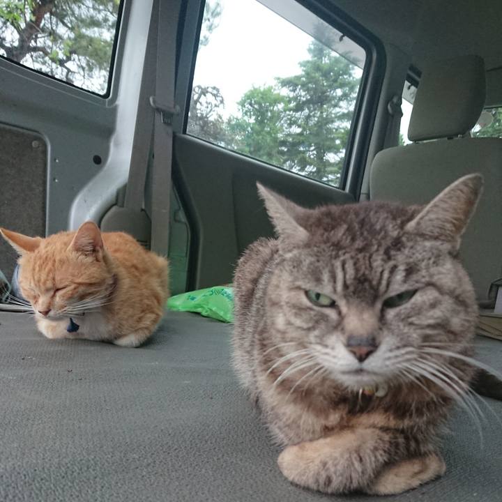 Baff59d2 22a2 4d44 9374 9d23786f475f 1559039908235