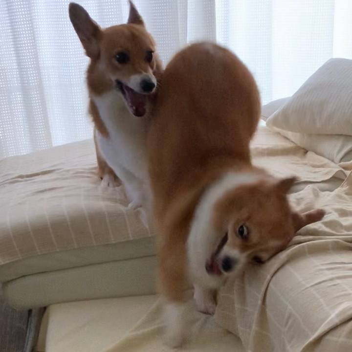 Baff6f05 1153 4b40 8445 ad125c2c3d3e 1596673244594