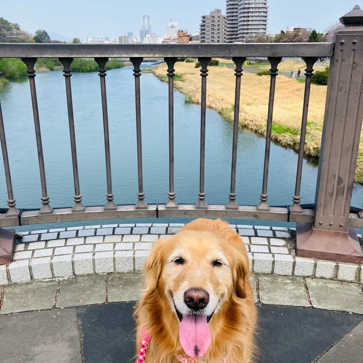 Baffa27a 67ec 4171 9688 fa1ae3786331 1745043142678