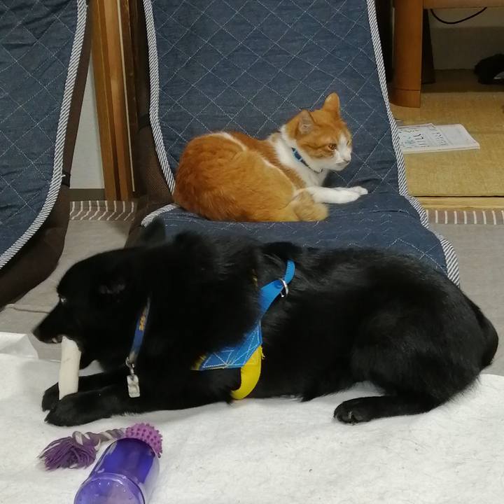 Baffaa91 1557 46cd 8885 56952f4d640b 1590835306754