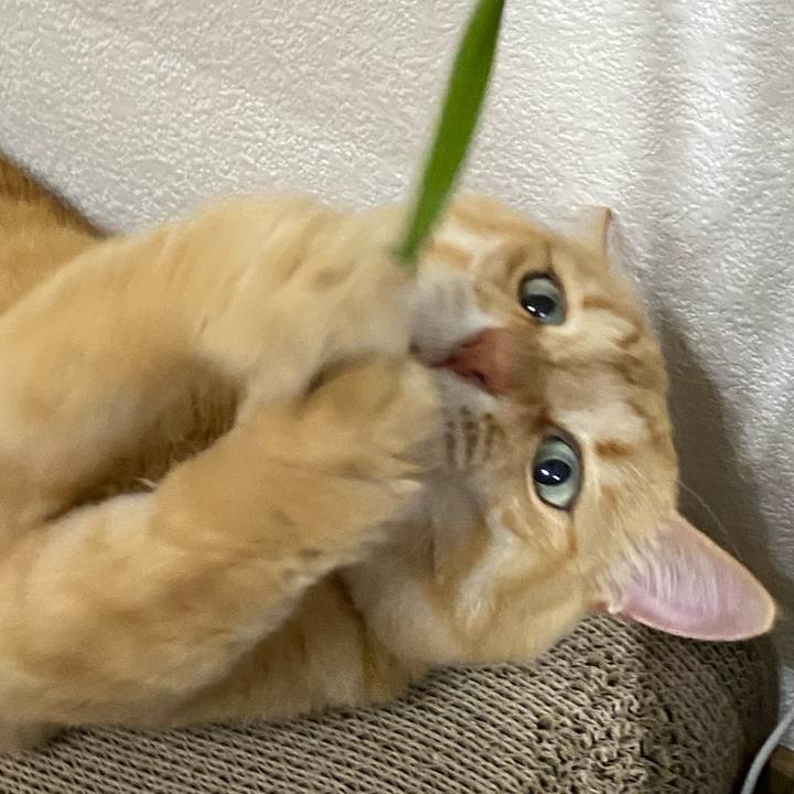 Baffeb65 1bc6 4bd8 951c 52c2ccbb9994 1721131590636