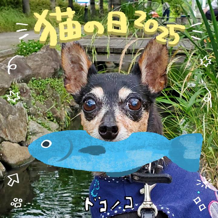 Bb007da8 c092 431b b489 99c0ae2ba5d6 1740180892257