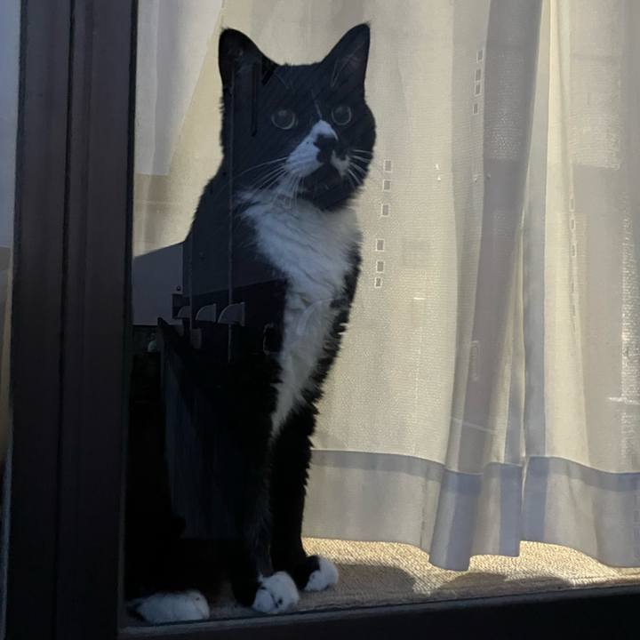 Bb00d970 8889 49e9 a715 f64a031373b4 1758771462915