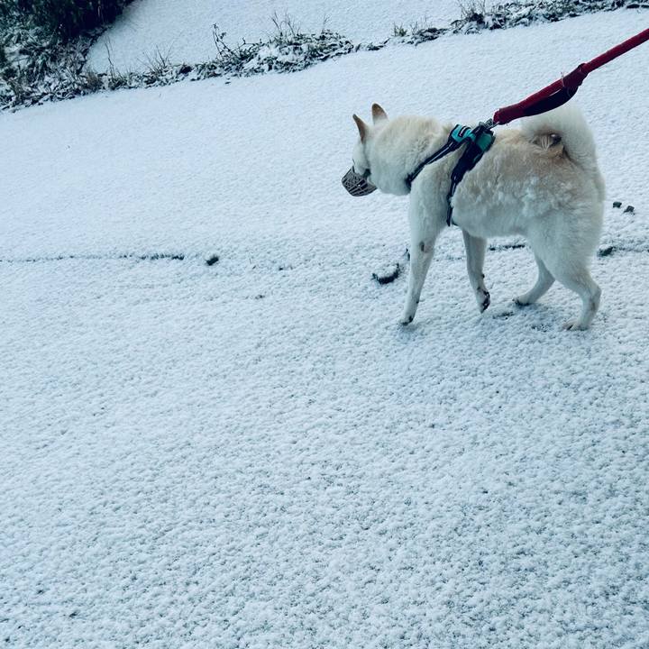 Bb00dbbd 8ec2 4afd a1a0 d1b1d7f64a8e 1699743662153