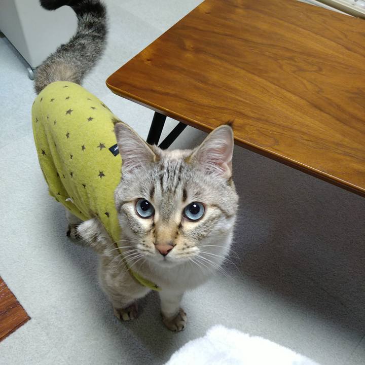 Bb010614 5e42 4ede a397 1265fff354f2 1744369982034