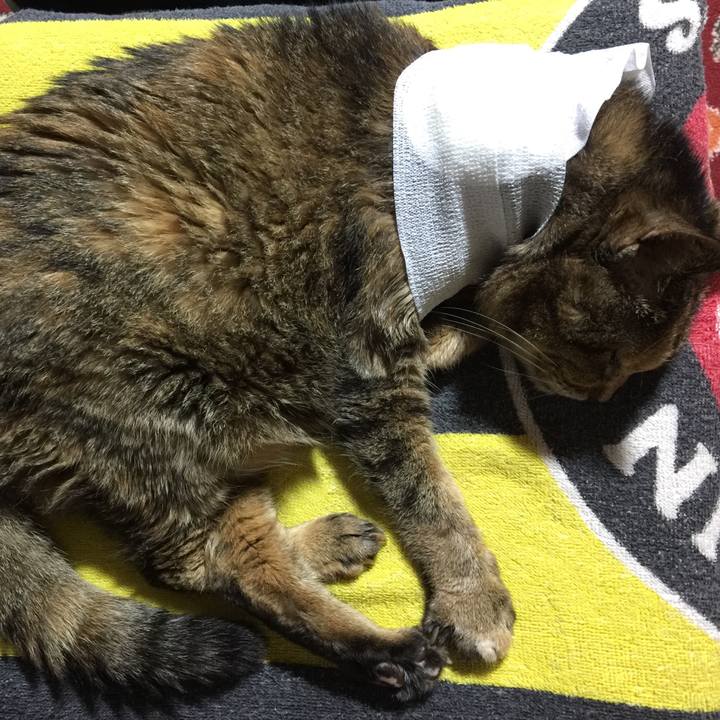 Bb0127cb 0fe4 4076 9d47 2e8b6ab235a5 1659135530299