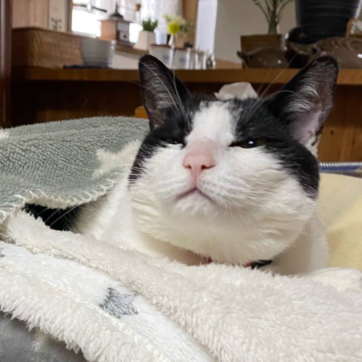 Bb014701 cb9e 4176 8f95 41d2552dd827 1674781798435