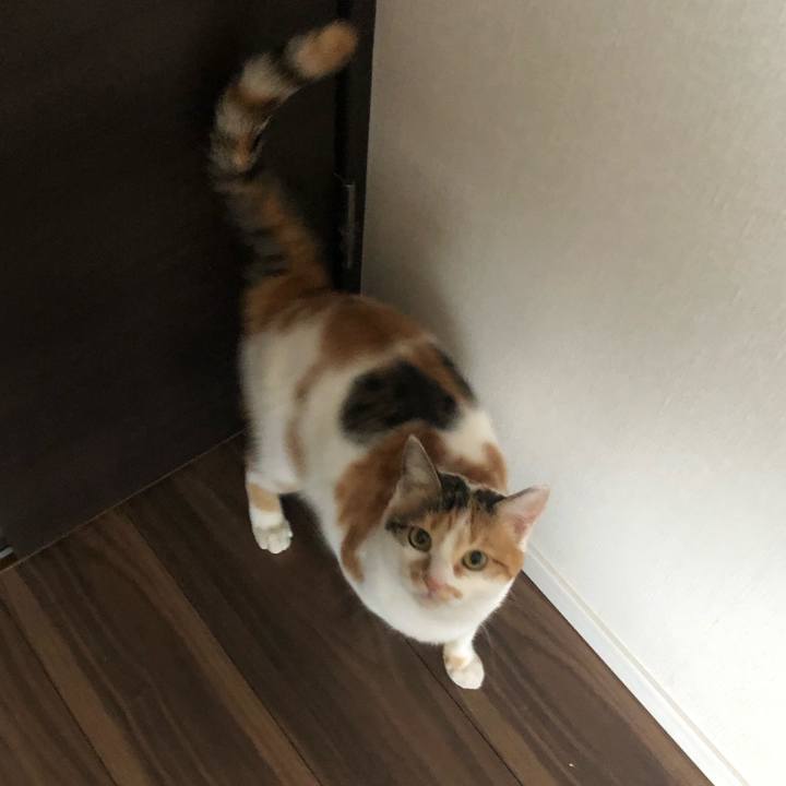 Bb018809 da5d 46e2 9a81 79cdf1c5a350 1585885139063