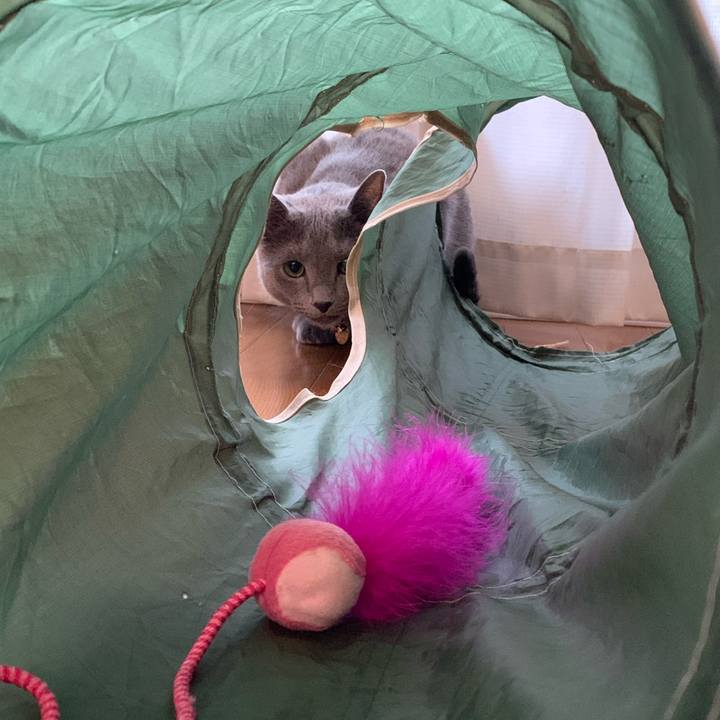 Bb01c8d8 7f70 498a 8680 9f73fb52a8d5 1646289794922