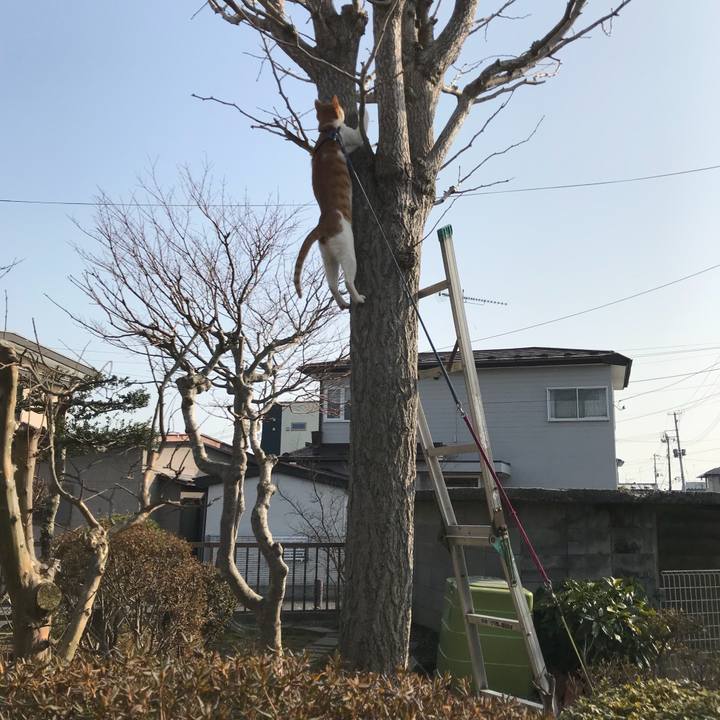 Bb01e789 5e26 4a94 8b3f 6dee9a1e5d43 1520921557493