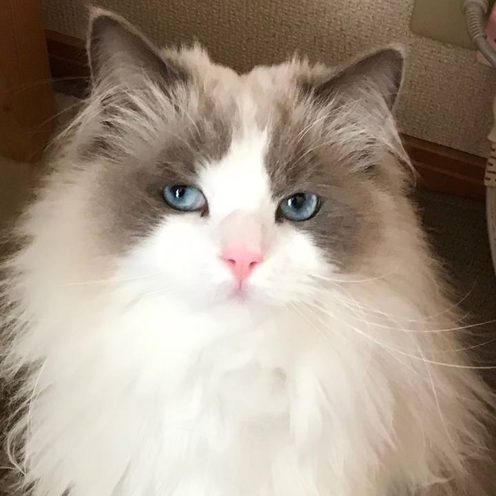 Bb01f844 9f19 47e4 b3fb 76b588c7fef0 1583666343090