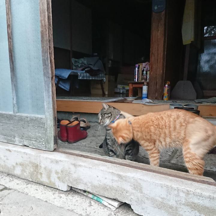 Bb020c12 0d4f 4aa3 9879 aea96d8305dd 1658697501308