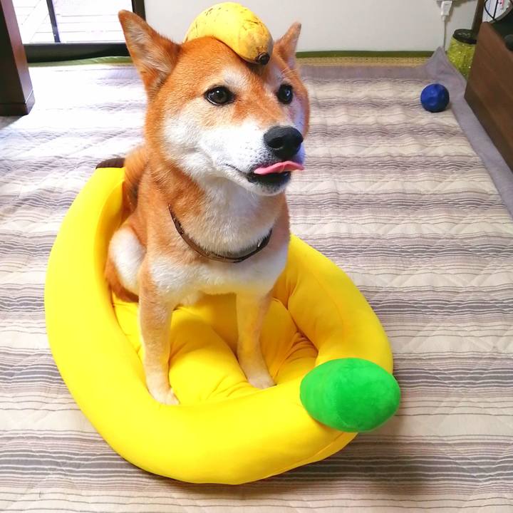 Bb0218ea 0ee7 450b 8b89 9f4f7c720557 1658115633737