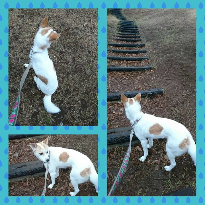 Bb022641 db69 41cd 9f2e 9b6d89c1568e 1520468555661