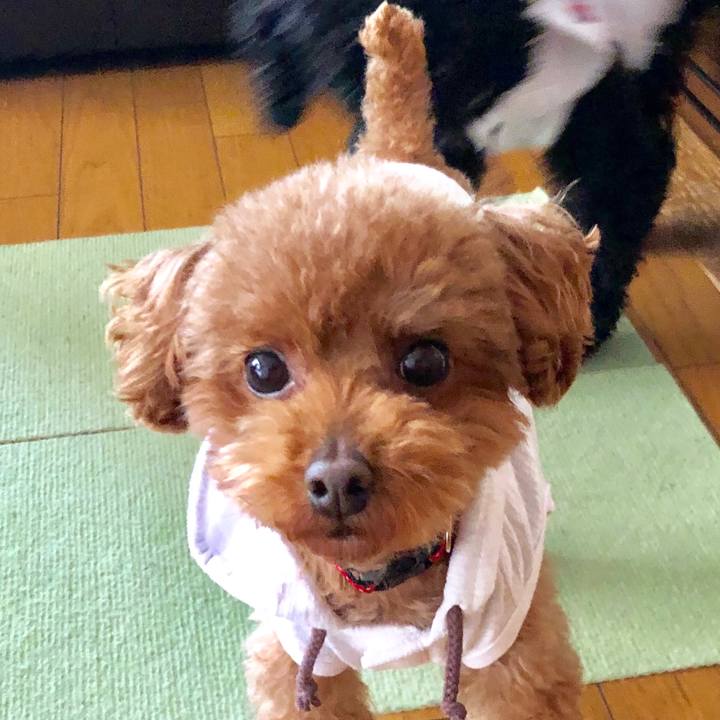 Bb022be6 1446 40ed 9b3b 8d43d597471c 1556946202126