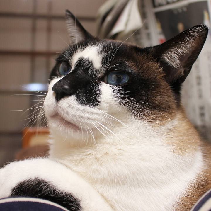 Bb02359b 124a 4977 a277 d823dd6856f9 1526256503820