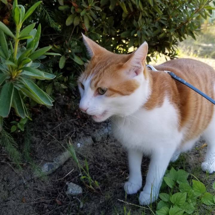 Bb02989e 1726 4fc6 bc65 d727aa7cf2d1 1538808548312