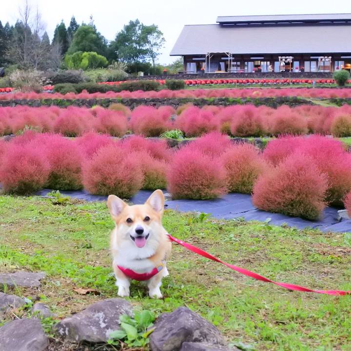 Bb029a67 0f84 4698 8887 ad4b813c3e1b 1602990962331