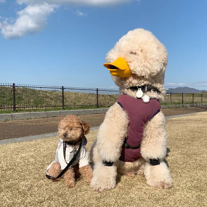 Bb02bb46 3581 497f bcaf d299214da45d 1773913560988