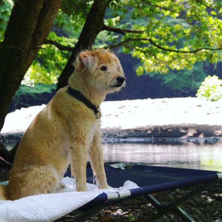 Bb02e3d5 71e4 4e18 89ac 800332e5851b 1660022993901