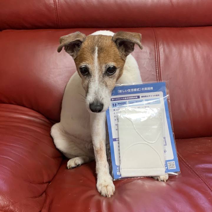 Bb02fd30 8701 4f10 833d 45de9e6460e5 1592048496592