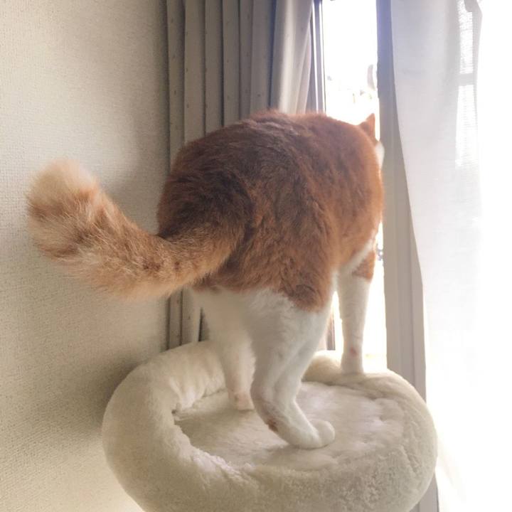 Bb031c7a 9f03 49a4 be95 4fbe50977a38 1587963686387