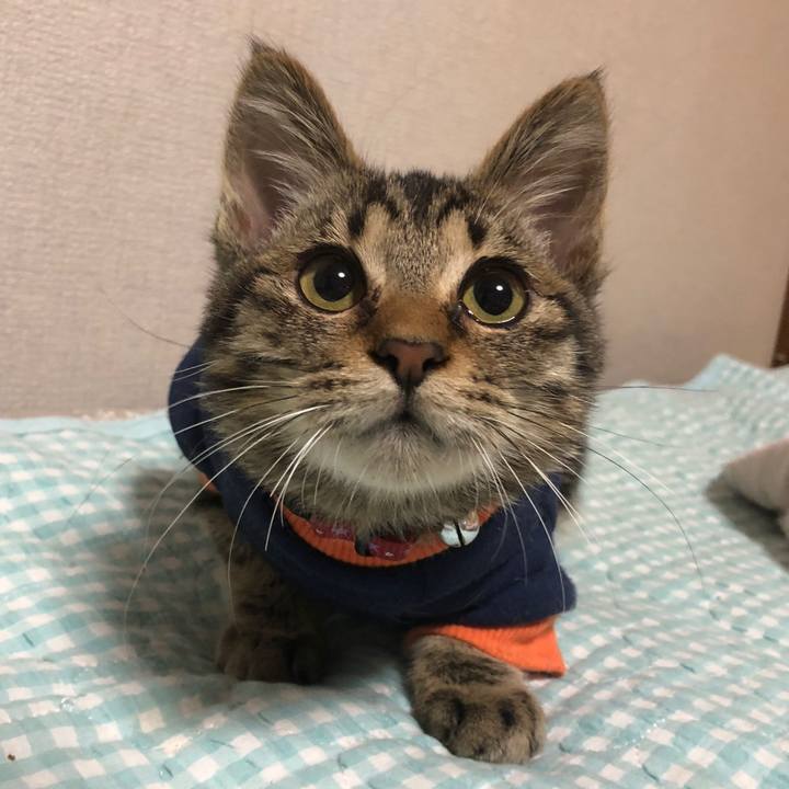 Bb0326cb 53d6 4cc8 98e9 58c768039105 1730834308347